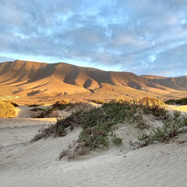 Sanddünen Caleta de Famara Lanzarote