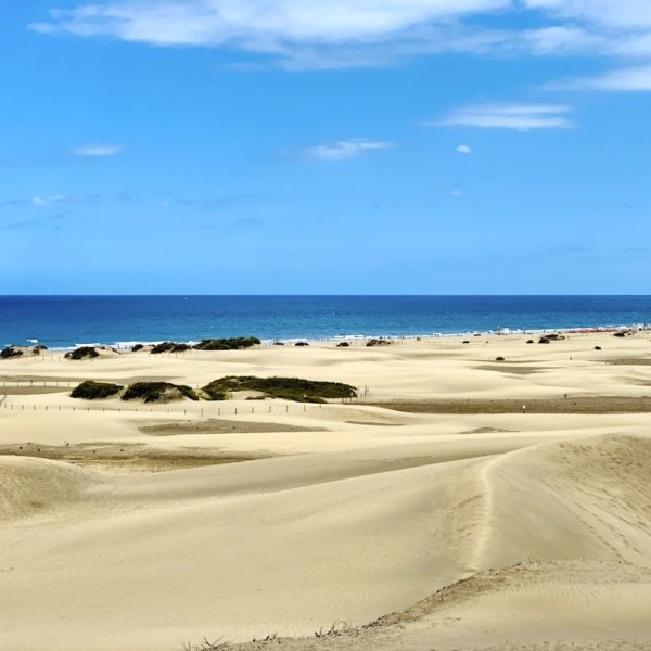 Sanddünen Meer Maspalomas Gran Canaria