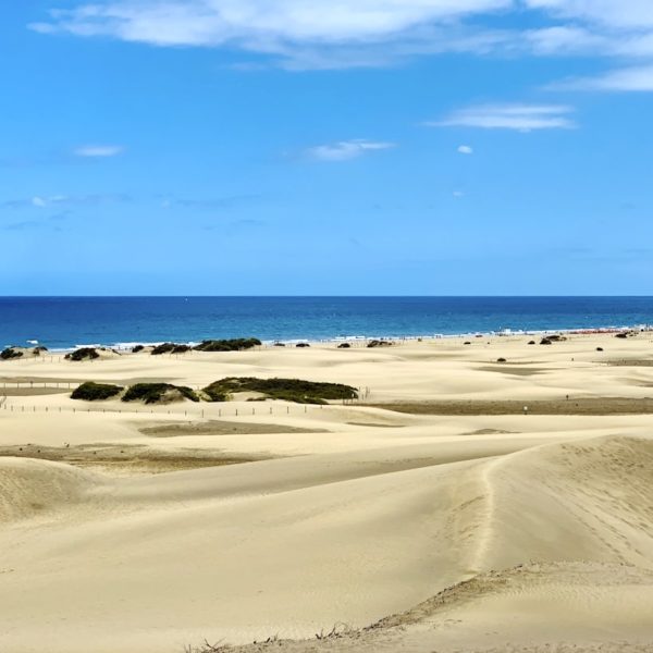 Sanddünen Meer Maspalomas Gran Canaria