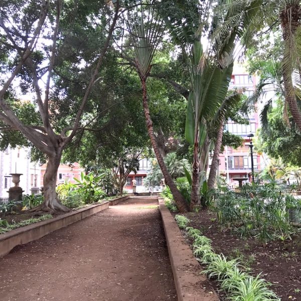 Santa Cruz de Tenerife Plaza del Principe Park