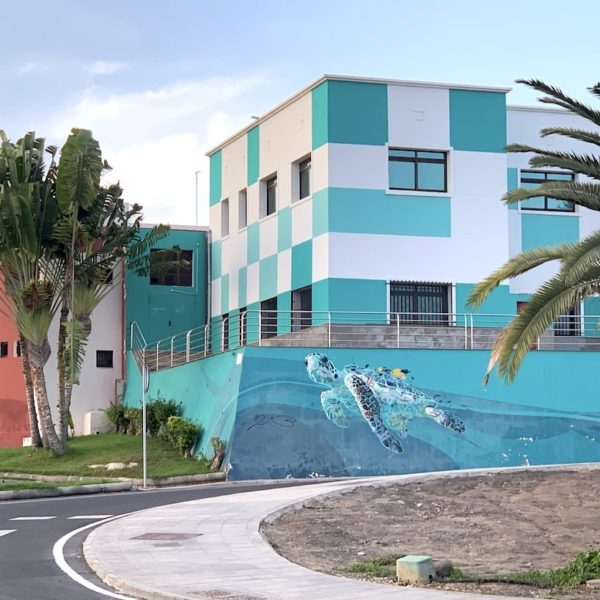Schildkröte Streetart Puerto del Rosario