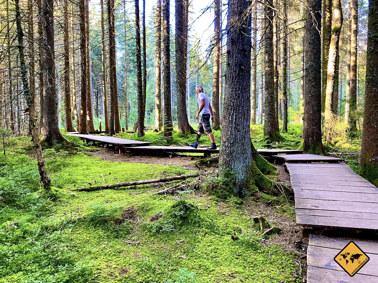 Schwarzwald Sehenswürdigkeiten Wandern Zauberwaldpfad