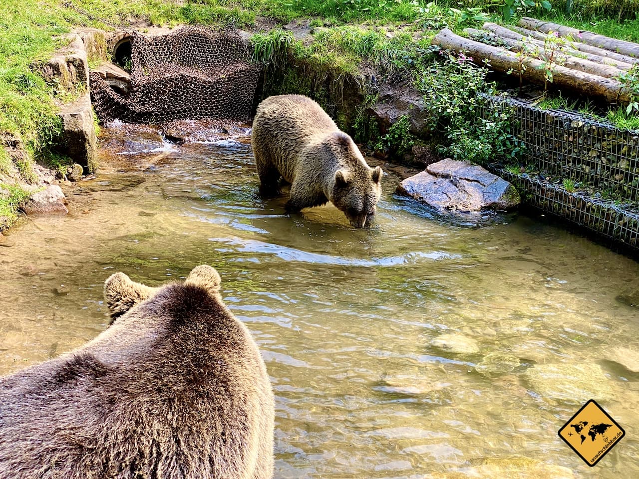 Schwarzwald Sehenswürdigkeiten alternativer Wolf- und Bärenpark