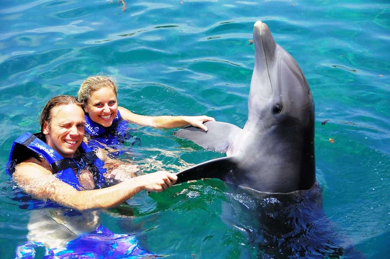 Wir beim Schwimmen mit Delphin Schnuk in Mexiko