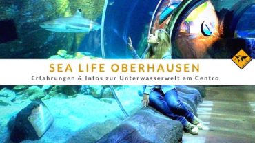 Sea Life Oberhausen – Erfahrungen zur Unterwasserwelt am Centro