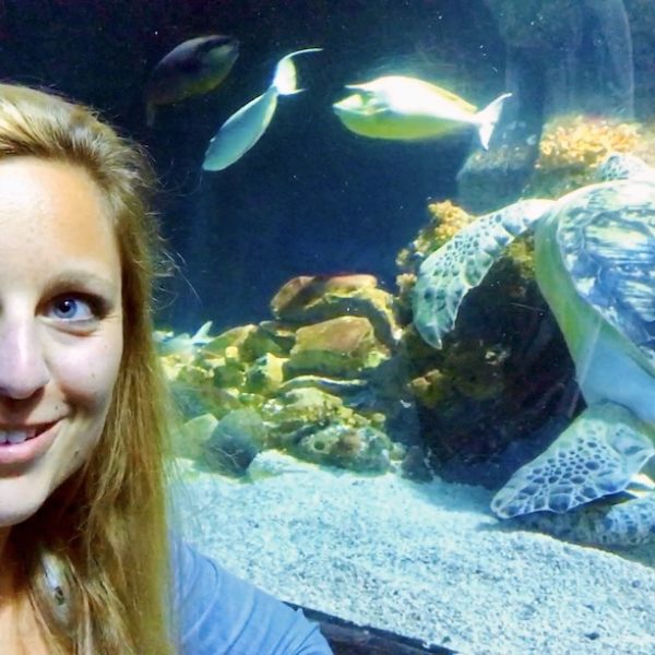Sea Life Oberhausen Schildkröte Fische