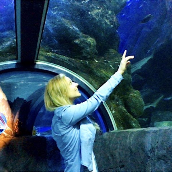 Sea Life Oberhausen Tunnel