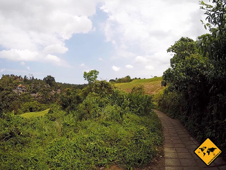 Sehenswürdigkeiten Ubud Campuhan Ridge Walk