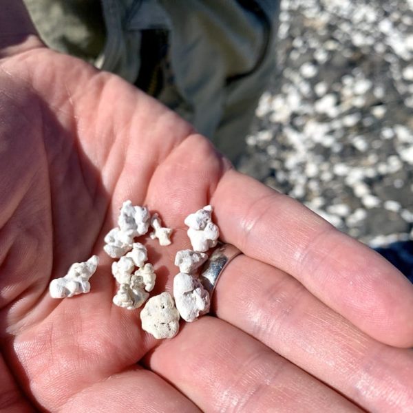 Sehenswürdigkeiten auf Fuerteventura Popcorn Strand