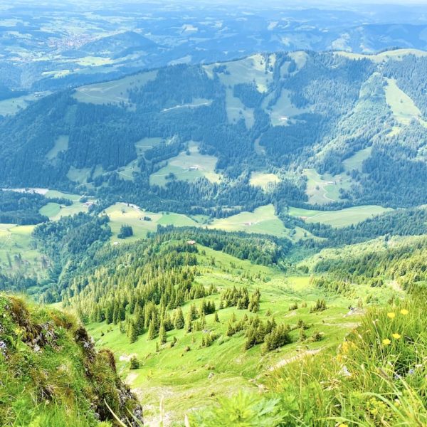 Sommer Allgäu Hochgrat