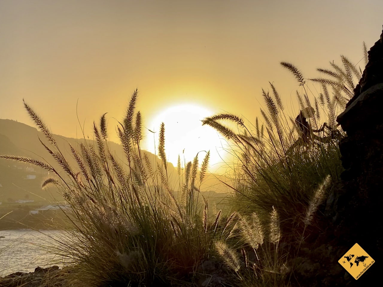 Sonnenuntergang fotografieren Gräser Vordergrund