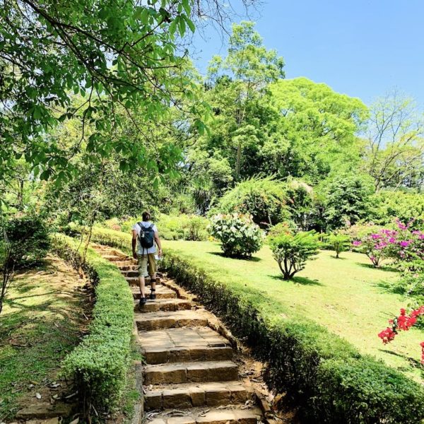 Spaziergang Royal Botanic Garden Kandy Sri Lanka