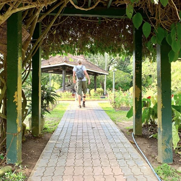 Sri Lanka Royal Park Spaziergang