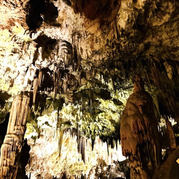 Stalaktiten Stalagnaten Postojna Jama