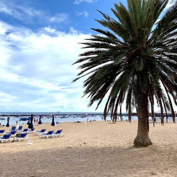 Strände auf Teneriffa Teresitas Palme Sand