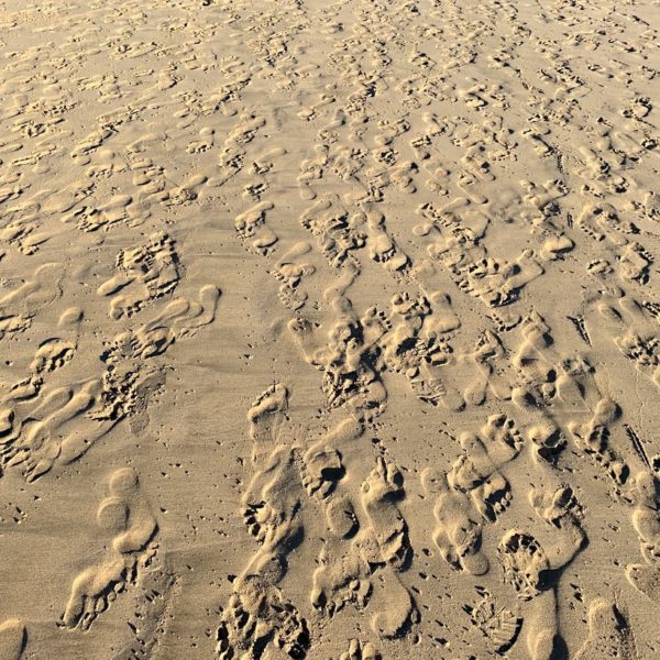 Strand Morro Jable Fußspuren