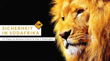 Sicherheit in Südafrika – 11 Tipps zu deinem Schutz & Top 5 Highlights