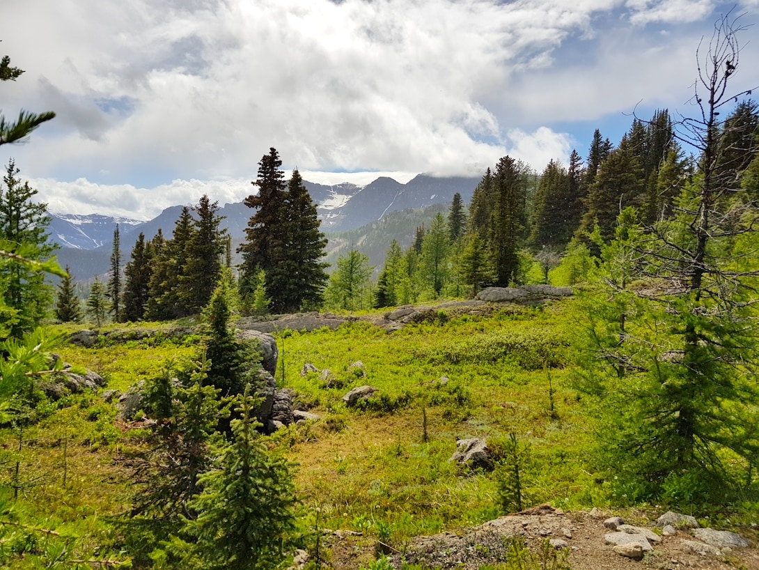 Sunshine Meadows Trail Rocky Mountains Kanada