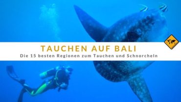 Tauchen auf Bali – Die 15 besten Regionen zum Tauchen und Schnorcheln: Tipps einer deutschen Tauchschule