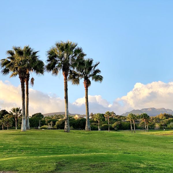 Tecina Golf