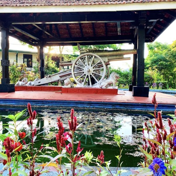 Teich Blumen Royal Park Kandy