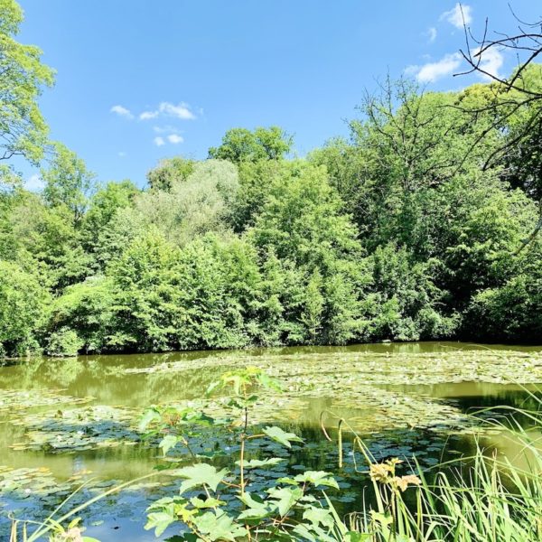 Teich am Schloss Lüntenbeck