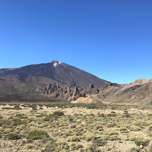 Teide Nationalpark 10 Tipps Fur Den Parque Nacional Del Teide