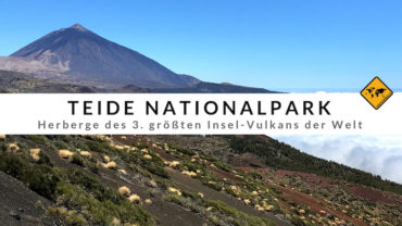 Teide Nationalpark – 10 Dinge, die du im Parque Nacional del Teide tun solltest
