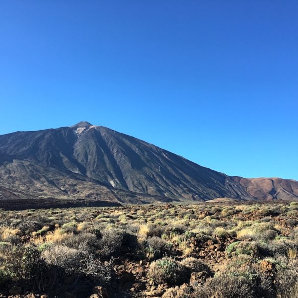 Teide Nationalpark Wanderroute Roques de Garcia