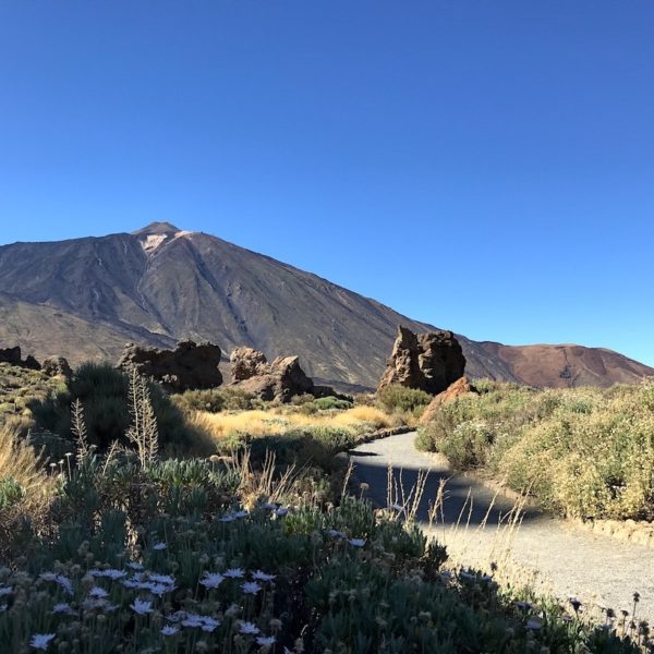 Teide Wanderung Mirador Llano de Ucanca