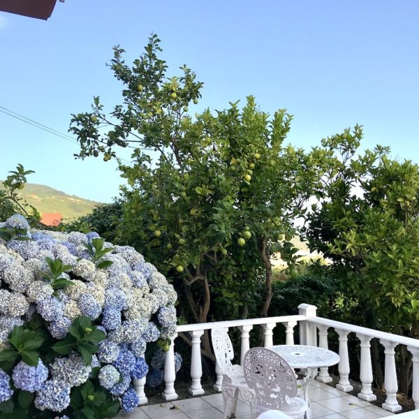 Teneriffa AirBnB Icod de los Vinos Garten