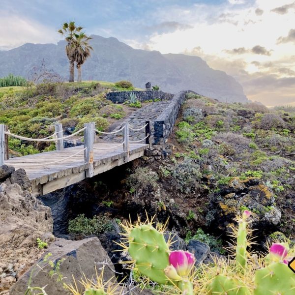Teneriffa Geheimtipps Buenavista del Norte Küstenweg