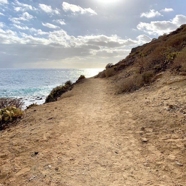 Wandern Auf Teneriffa 8 Einfache Lohnenswerte Routen