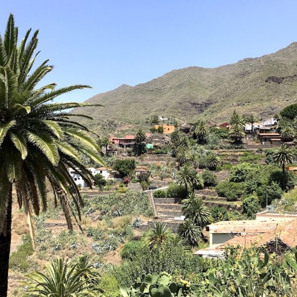 Teneriffa Sehenswürdigkeiten Masca Schlucht
