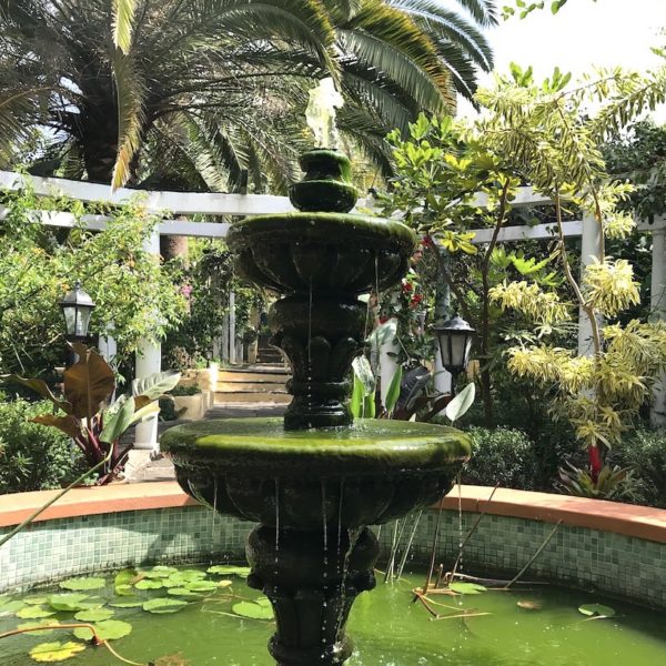 Teneriffa Sitio Litre Garten Puerto Cruz Brunnen