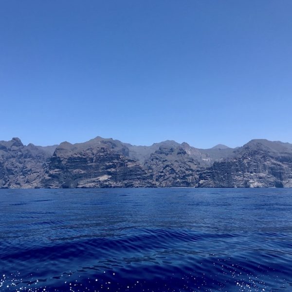 Teneriffa Whale Watching Los Gigantes