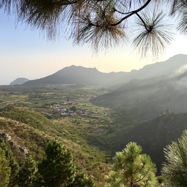 Auf der Wanderung in El Tanque erwarten dich schöne Aussichten ins Grüne
