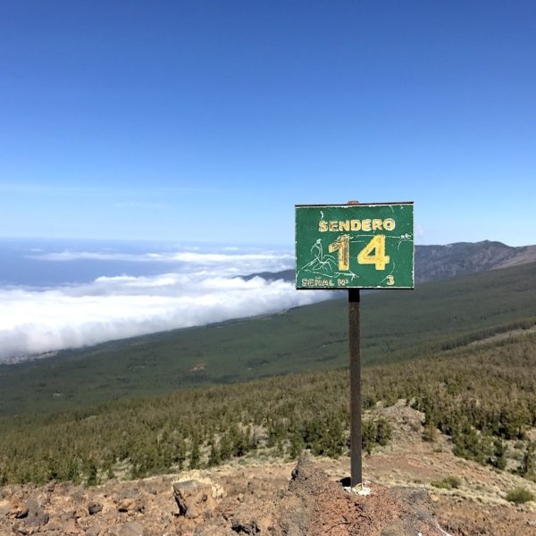 Teneriffa wandern Sendero 14 Teide Nationalpark