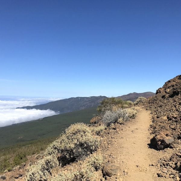 Teneriffa wandern Weg Sendero 14