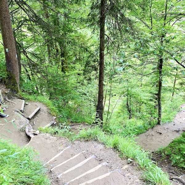 Treppen Abstieg Buchenegger Wasserfälle