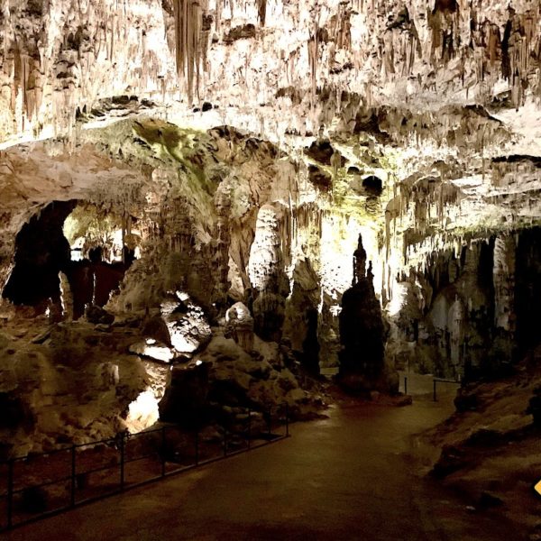 Tropfsteine Decke Postojna Cave
