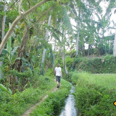 Tropischer Wanderweg Ubud