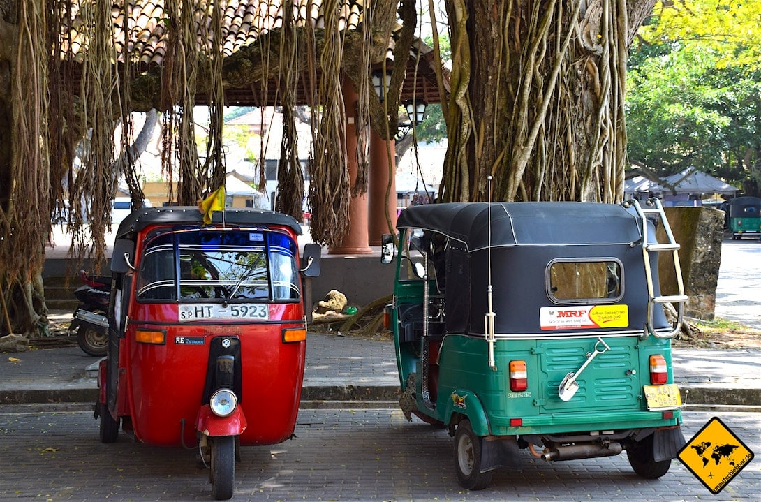 Tuk Tuk Transportmittel Negombo