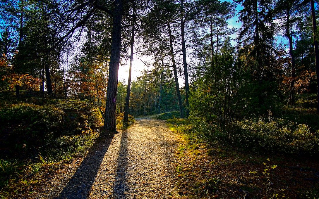 Tyresta Nationalpark Schweden