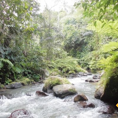 Ubud River