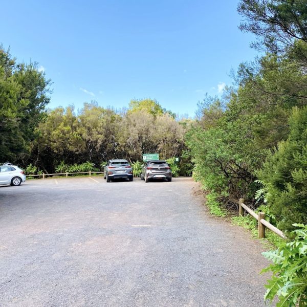 Wald-Parkplatz GM-2 Startpunkt Wanderung Alto de Garajonay