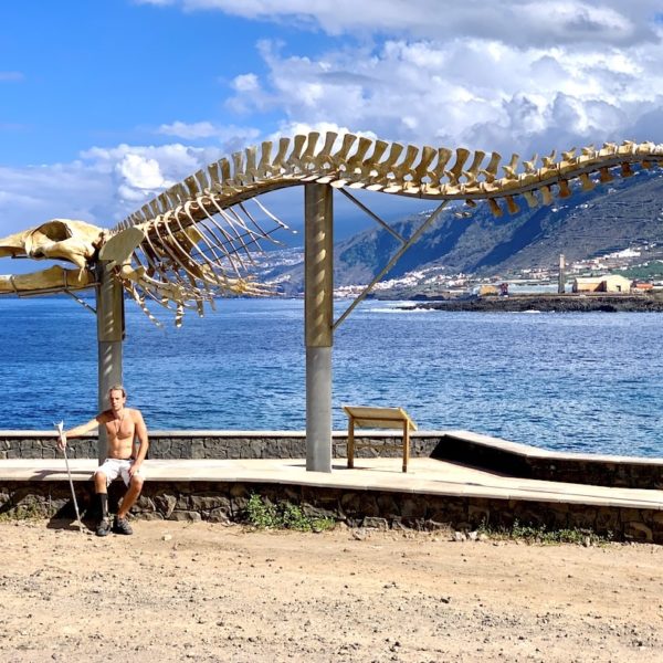 Walskelett Teneriffa Meer Los Silos