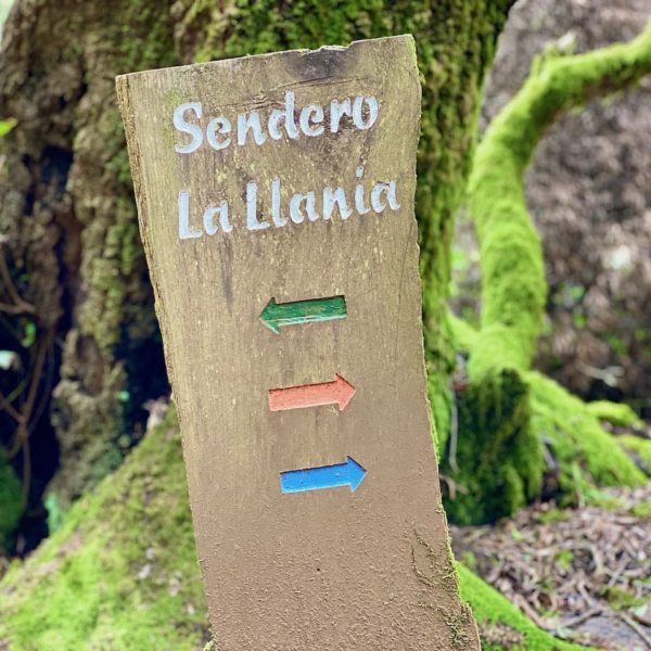 Wandern El Hierro La Llanía Rundwege