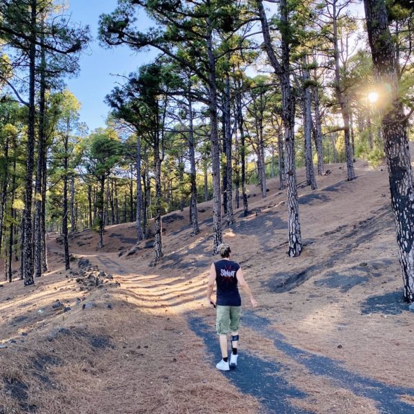 Wandern Fuencaliente de La Palma Pinienwald