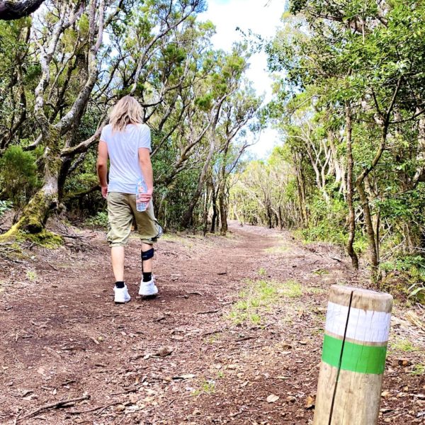 Wandern Garajonay Nationalpark Los Barranquillos
